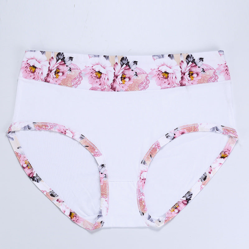 Large size high waisted cotton panites